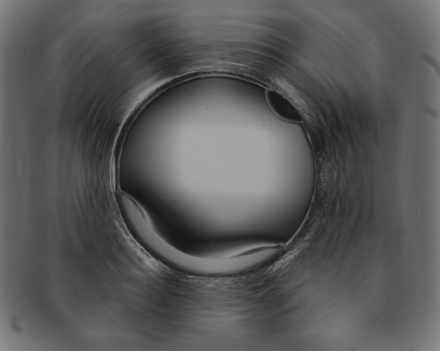 X0000091700940200709210919