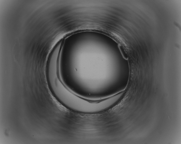 X0000091700942200709210919