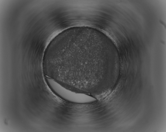 X0000091700943200709210919