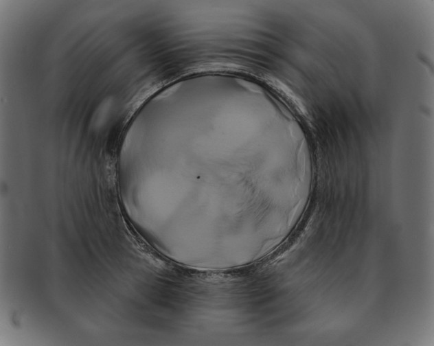 X0000091700945200709210919