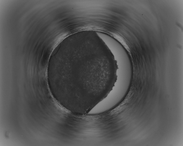 X0000091700946200709210919