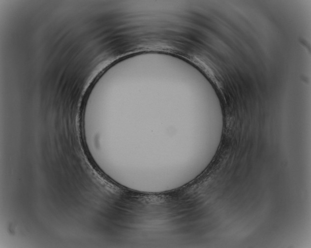 X0000091700947200709210919