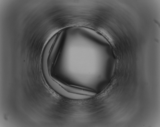 X0000091700948200709210919