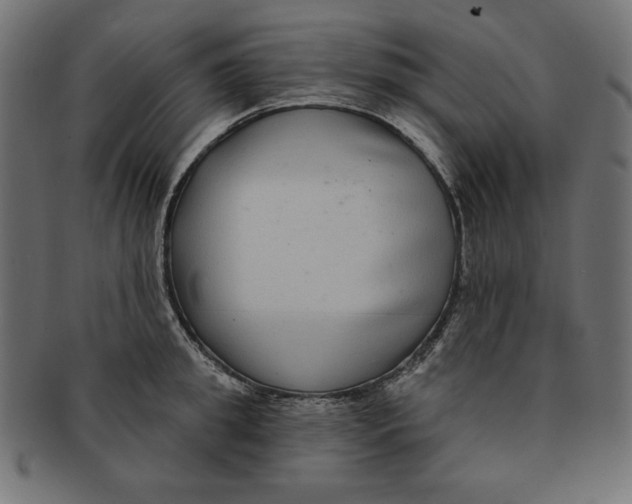 X0000091700949200709210919