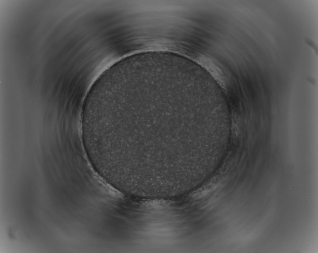 X0000091700950200709210919