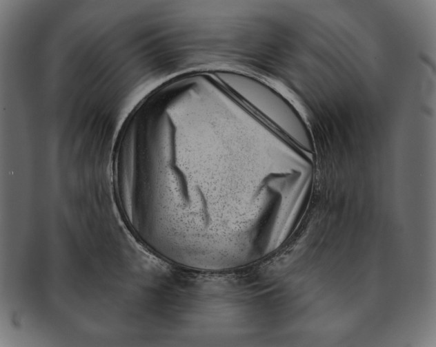 X0000091700951200709210919