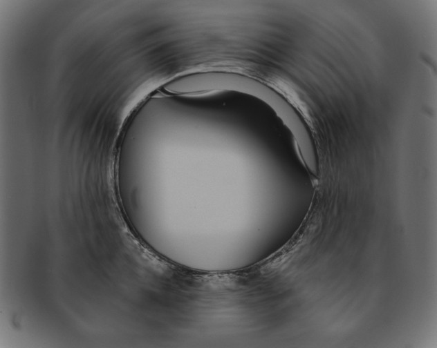 X0000091700952200709210919