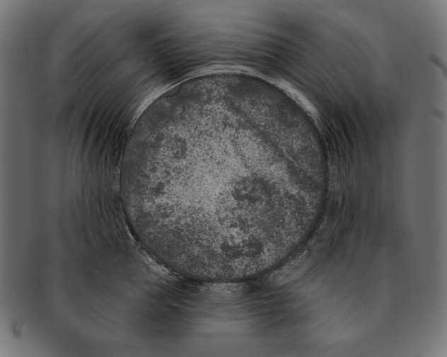 X0000091700953200709210919