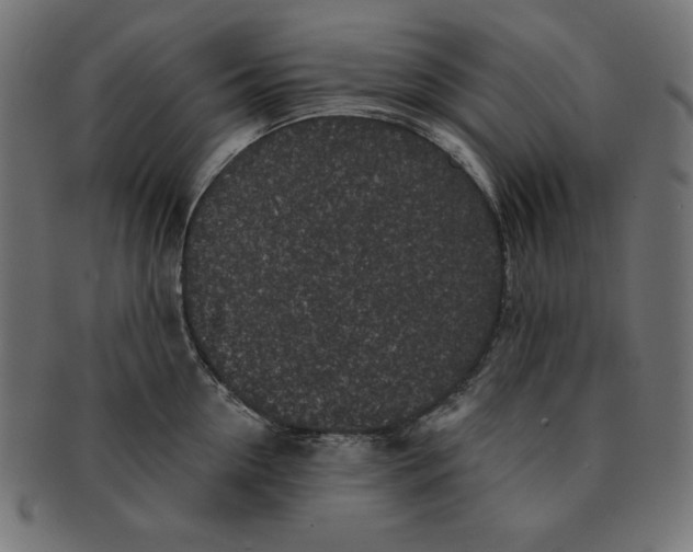 X0000091700954200709210919