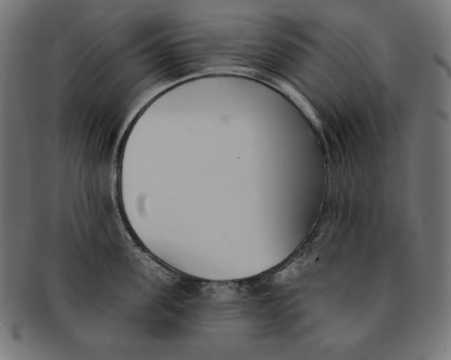 X0000091700955200709210919