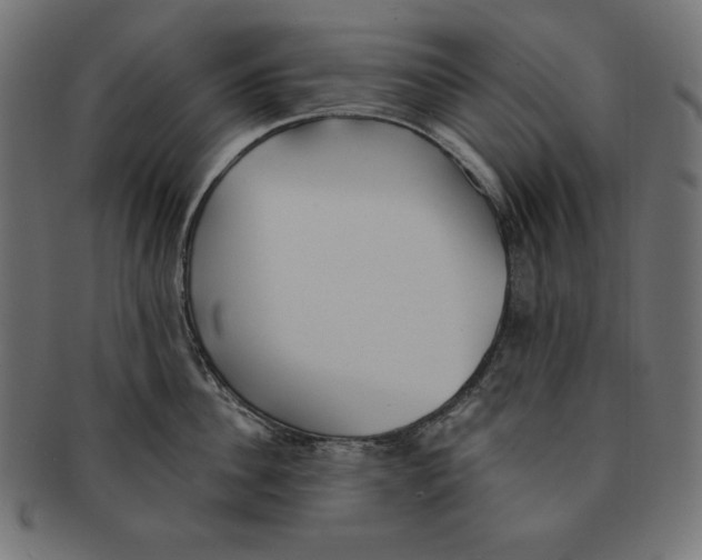 X0000091700956200709210919