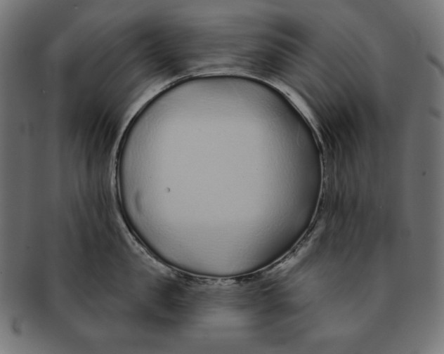 X0000091700957200709210919