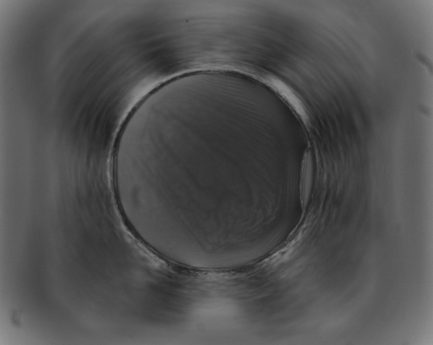 X0000091700958200709210919