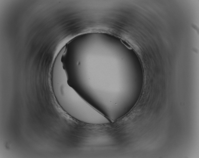 X0000091700960200709210919