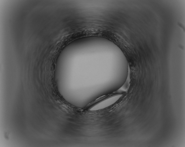 X0000091700961200709210919