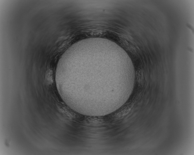 X0000091700962200709210919