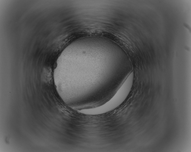 X0000091700963200709210919