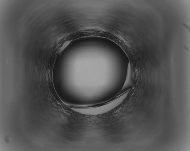 X0000091700965200709210919