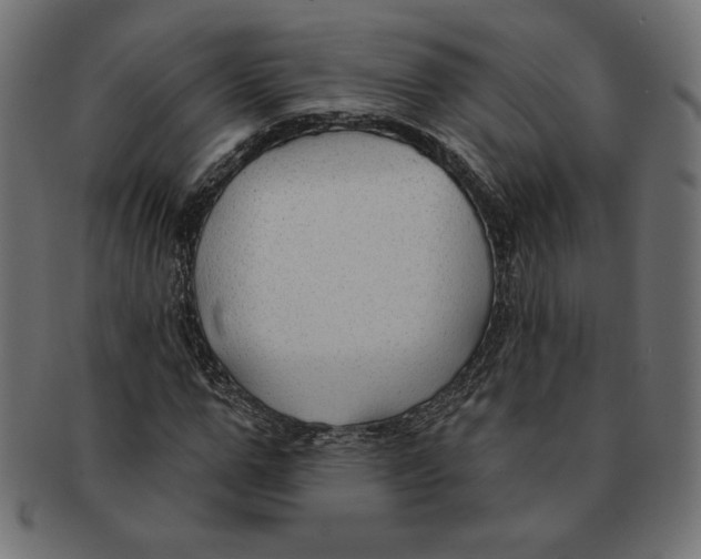 X0000091700967200709210919