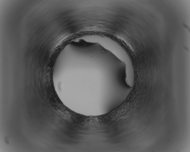 X0000091700968200709210919