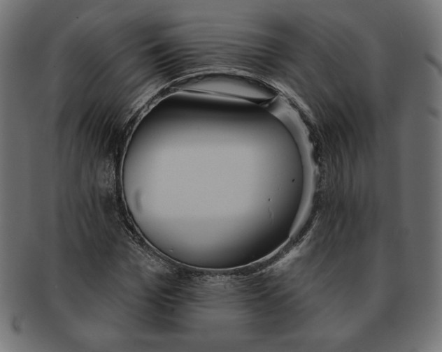 X0000091700969200709210919