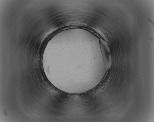 X0000091700971200709210919