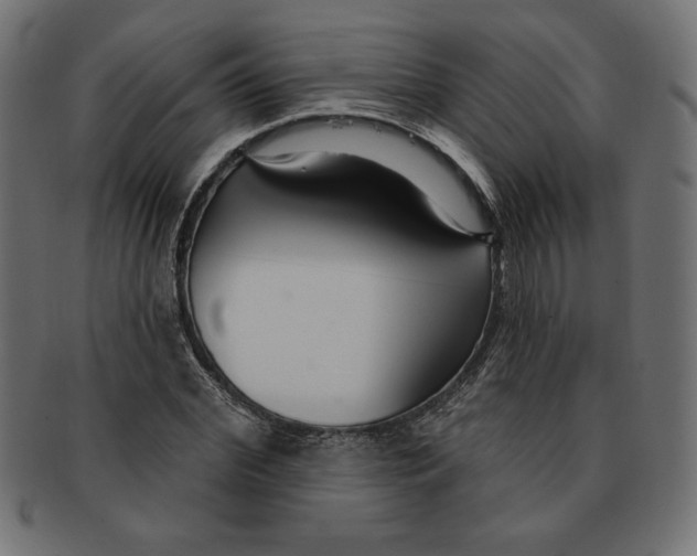 X0000091700972200709210919