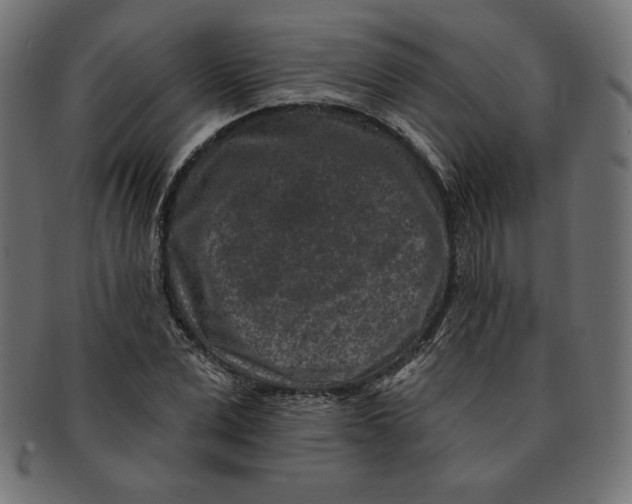 X0000091700975200709210919