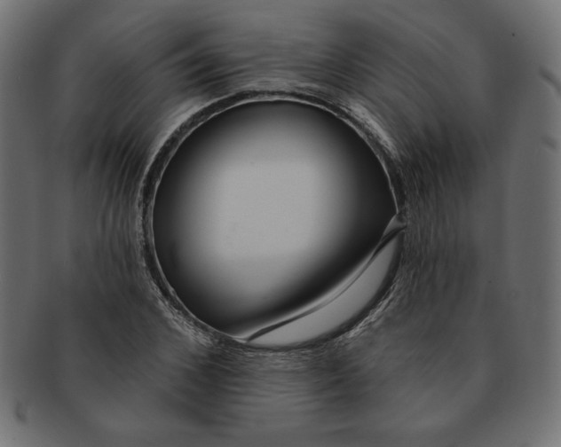 X0000091700976200709210919