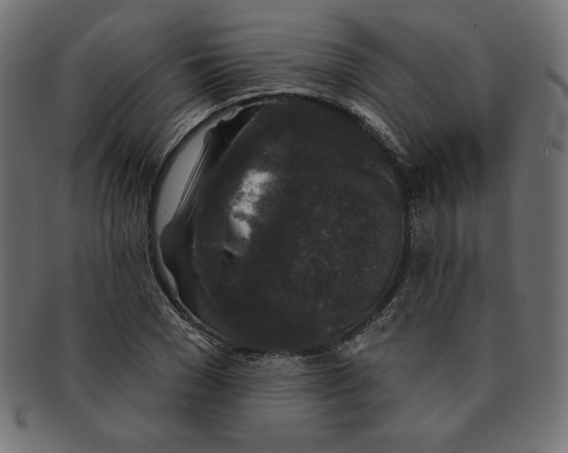 X0000091700977200709210919