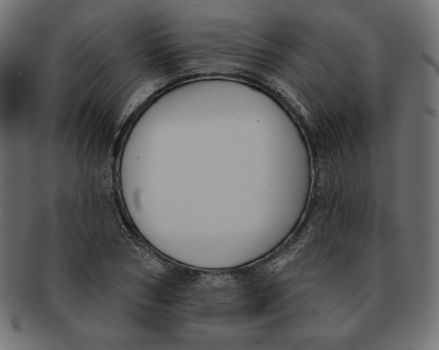 X0000091700978200709210919