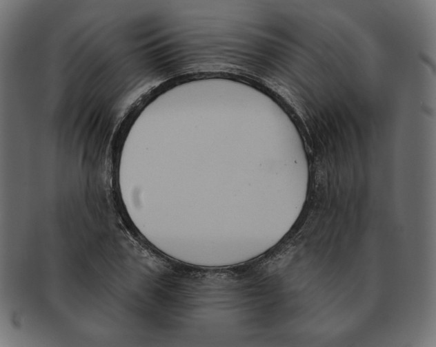 X0000091700979200709210919