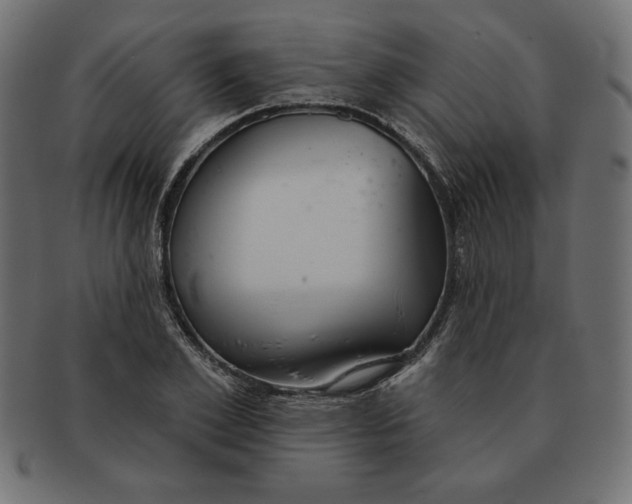 X0000091700981200709210919