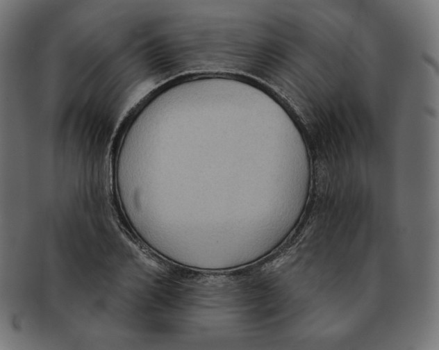 X0000091700982200709210919