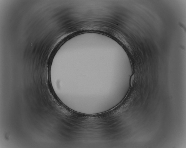 X0000091700984200709210919