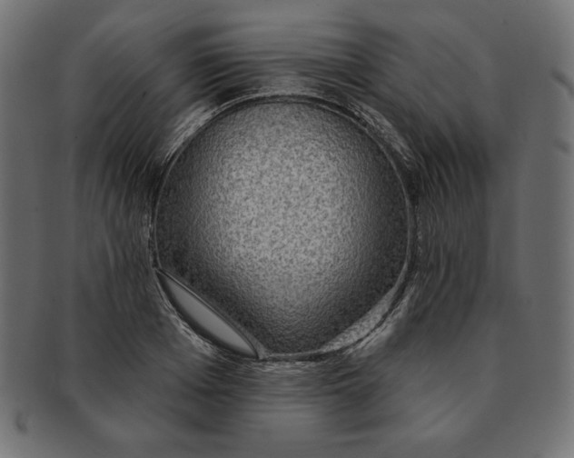 X0000091700985200709210919