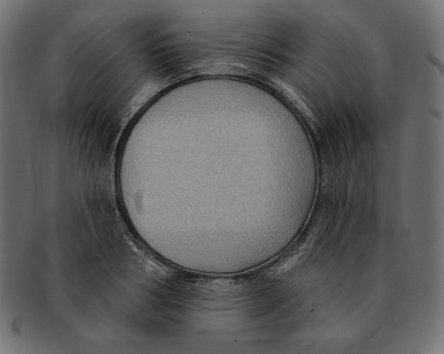 X0000091700986200709210919