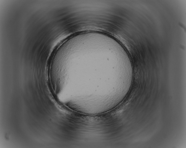 X0000091700987200709210919