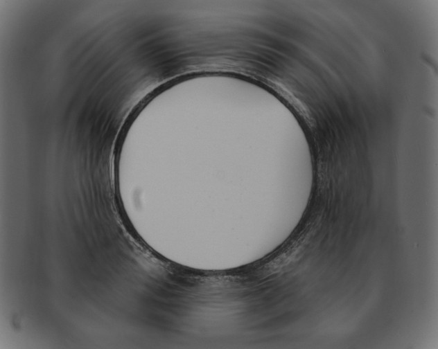 X0000091700988200709210919