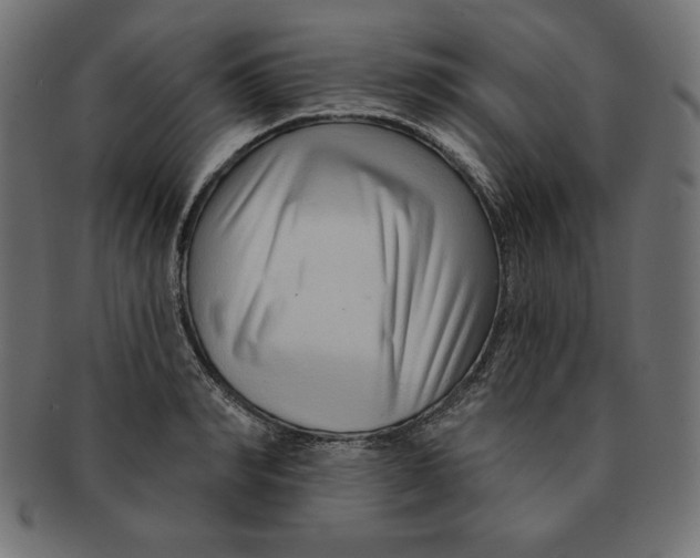 X0000091700990200709210919