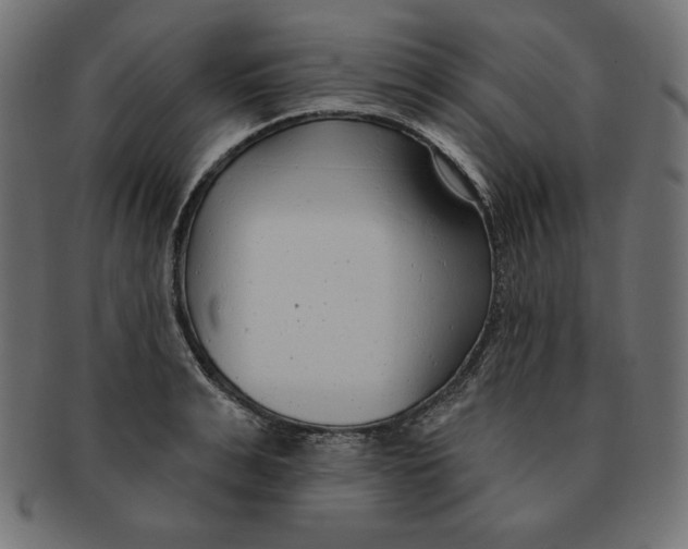 X0000091700991200709210919