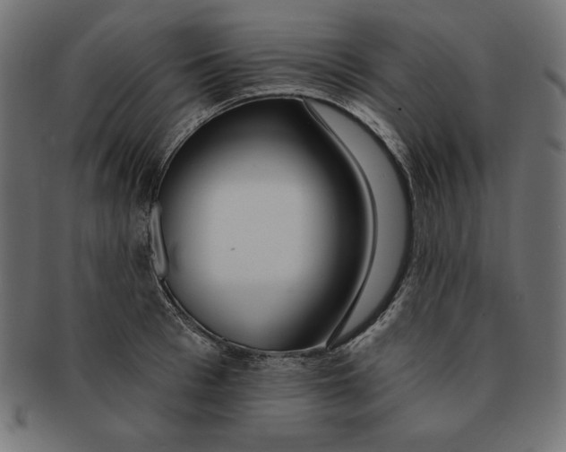 X0000091700993200709210919