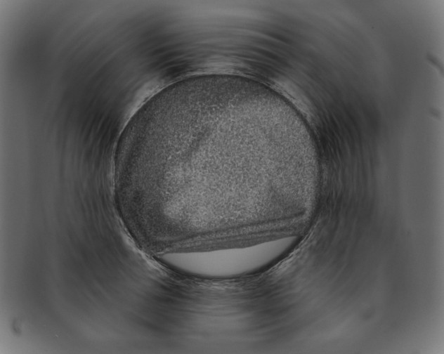 X0000091700994200709210919