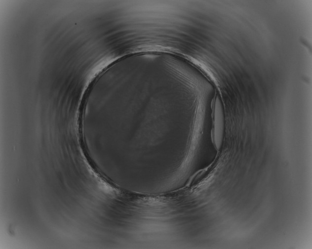 X0000091700995200709210919