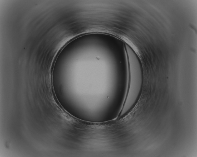 X0000091700996200709210919