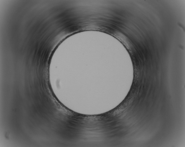 X0000091701000200709210918