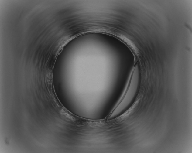 X0000091701001200709210918