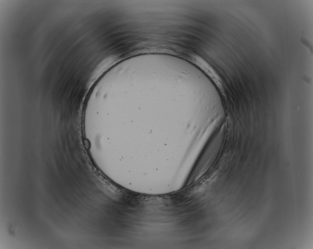 X0000091701002200709210918