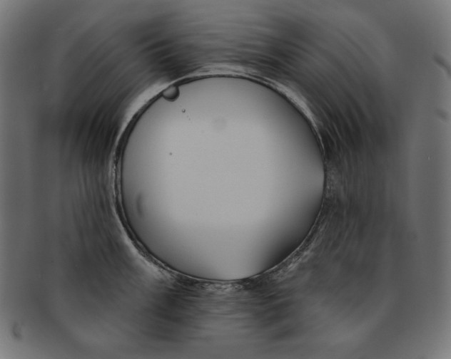 X0000091701003200709210918