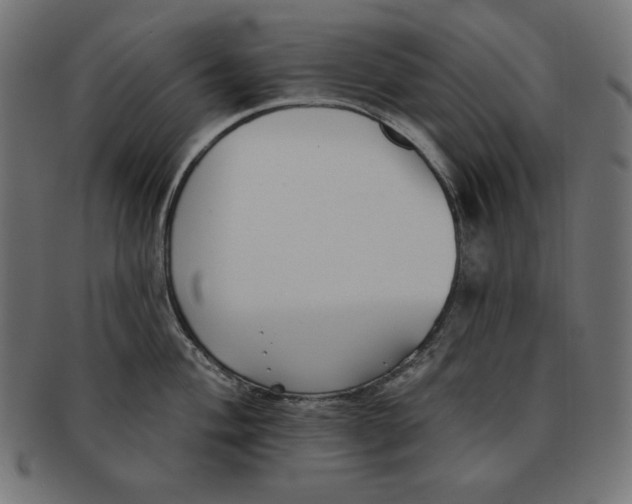 X0000091701004200709210918